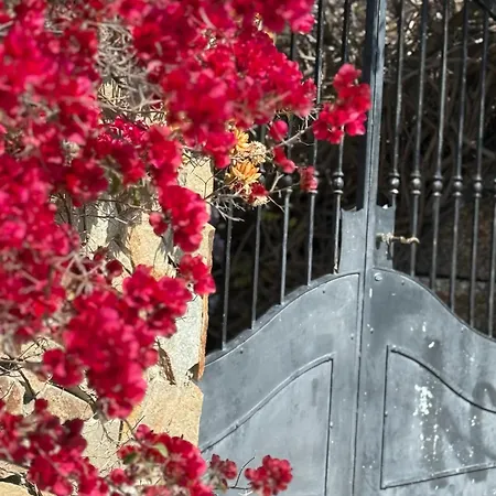 Lovely 5 Min Walk To The Beach, 3 Bedrooms Ample Outdoor Relax And Wifi 빌라 *