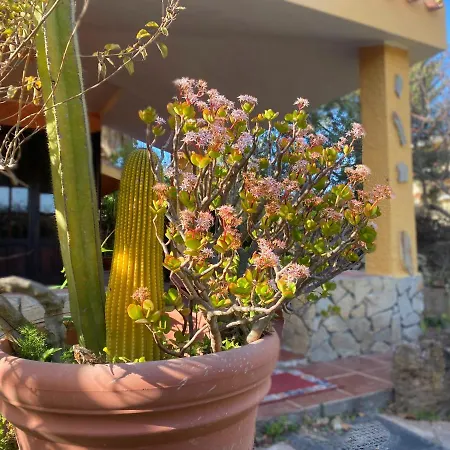 Lovely 5 Min Walk To The Beach, 3 Bedrooms Ample Outdoor Relax And Wifi كابيتانا