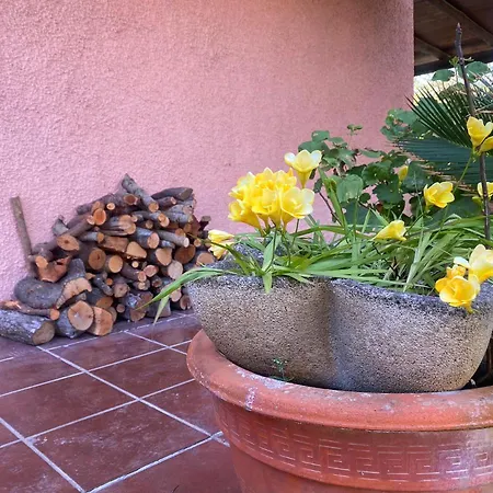 Lovely 5 Min Walk To The Beach, 3 Bedrooms Ample Outdoor Relax And Wifi *