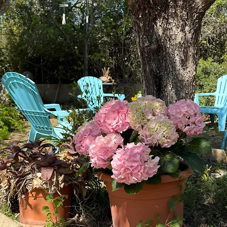 Lovely 5 Min Walk To The Beach, 3 Bedrooms Ample Outdoor Relax And Wifi וילה *