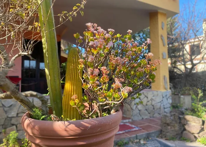 Lovely 5 Min Walk To The Beach, 3 Bedrooms Ample Outdoor Relax And Wifi Capitana